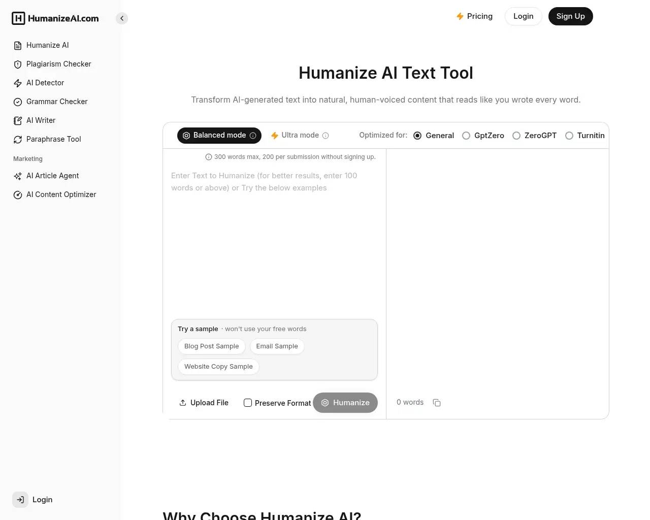 HumanizeAI.com homepage screenshot