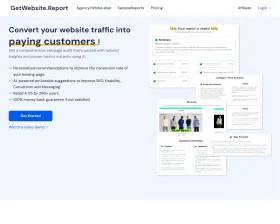 GetWebsite Report screenshot