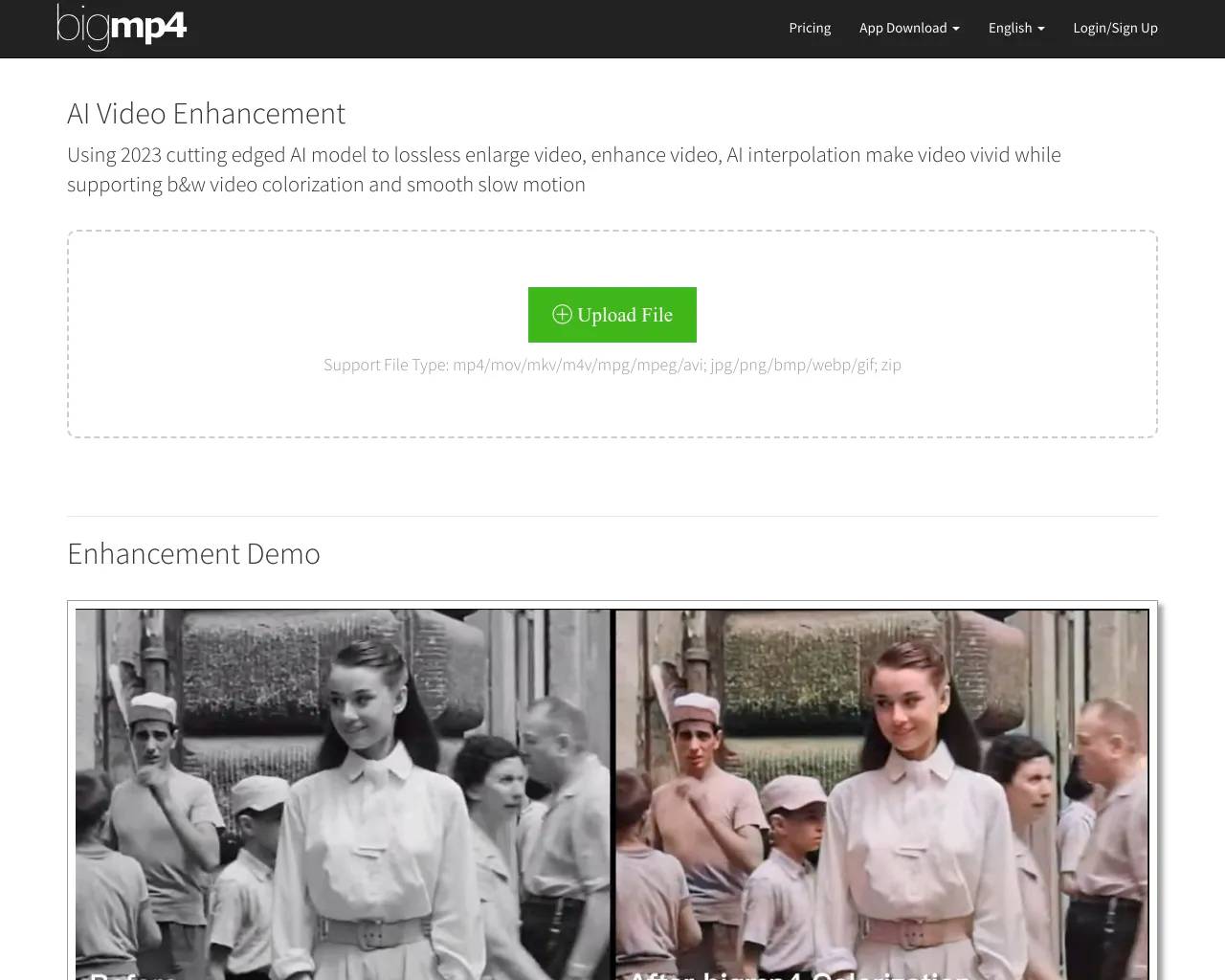 bigmp4 screenshot