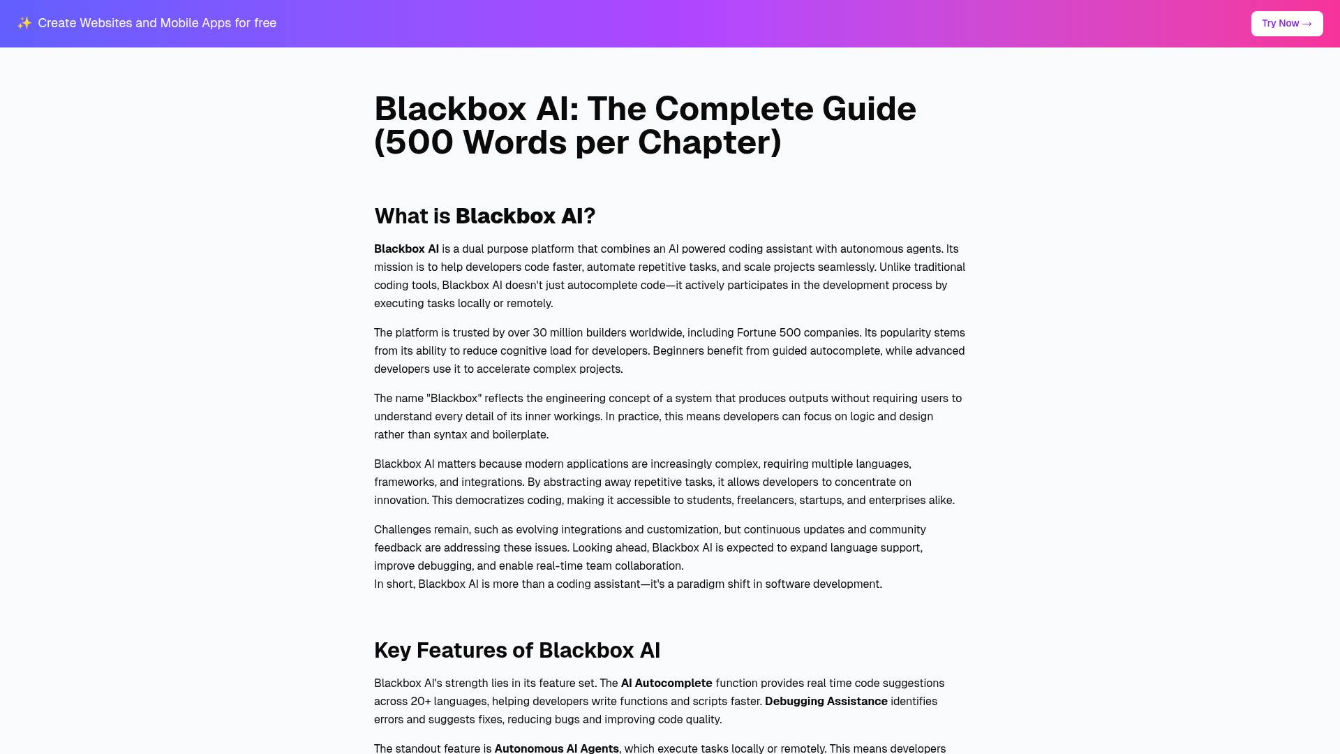 Blackbox AI screenshot