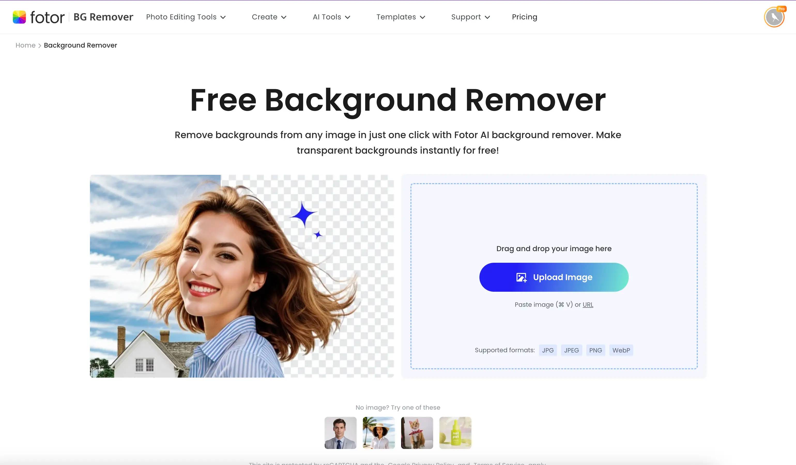 Fotor Background Remover