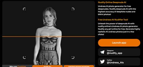 Nudify.online screenshot