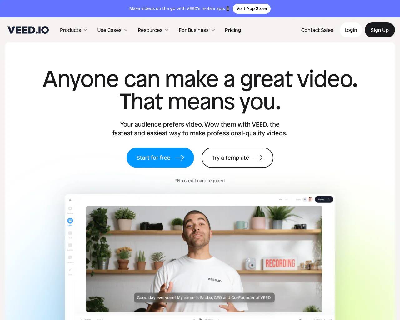 VEED IO screenshot