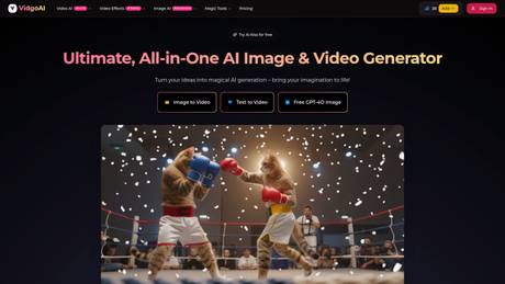 Vidgo AI screenshot