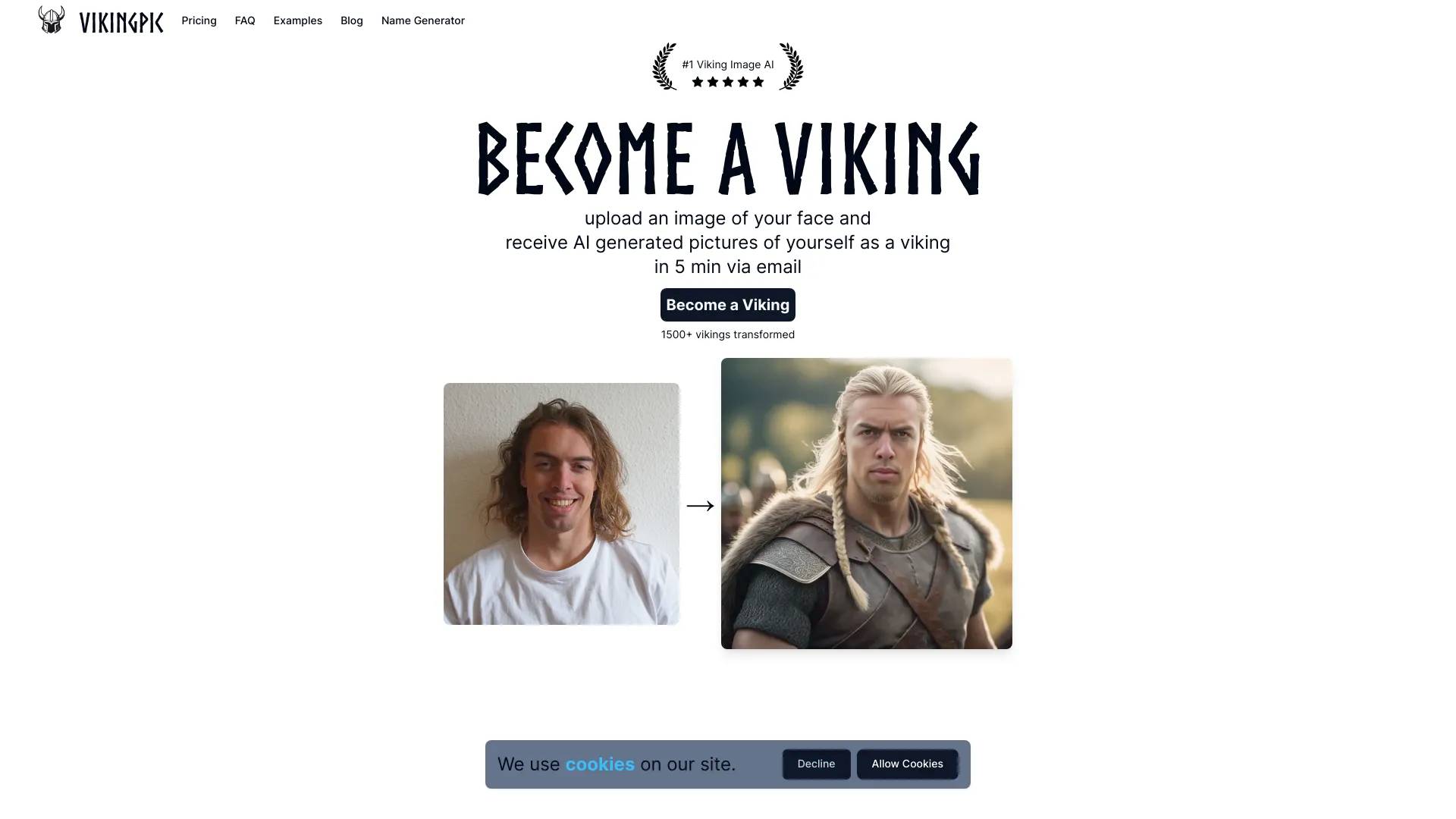 VikingPic